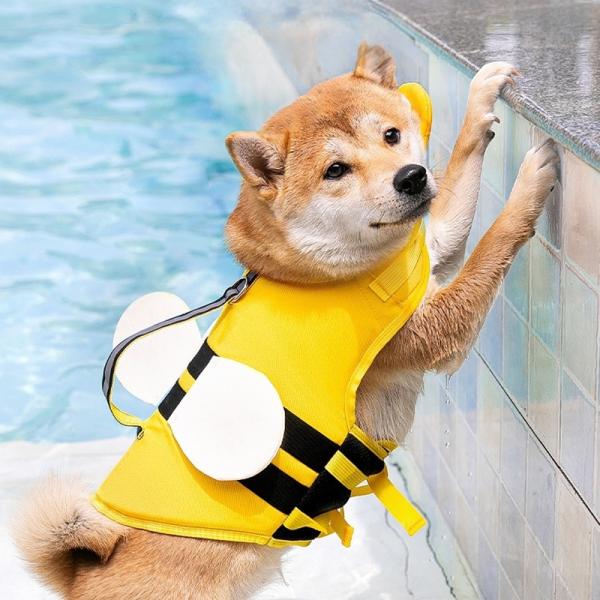 Vêtement de sauvetage pour animaux de compagnie léger, pas glissant, pas glissant, pas glissant