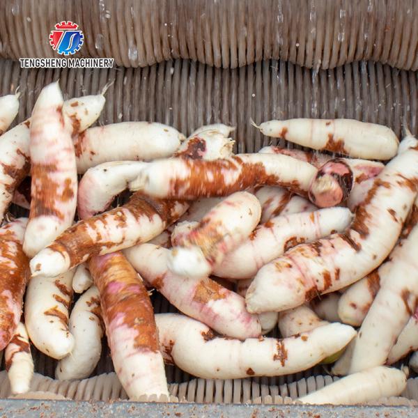 380KG Stainless steel roller cleaning machine, ginger, taro, lotus root, cleaning and peeling machine