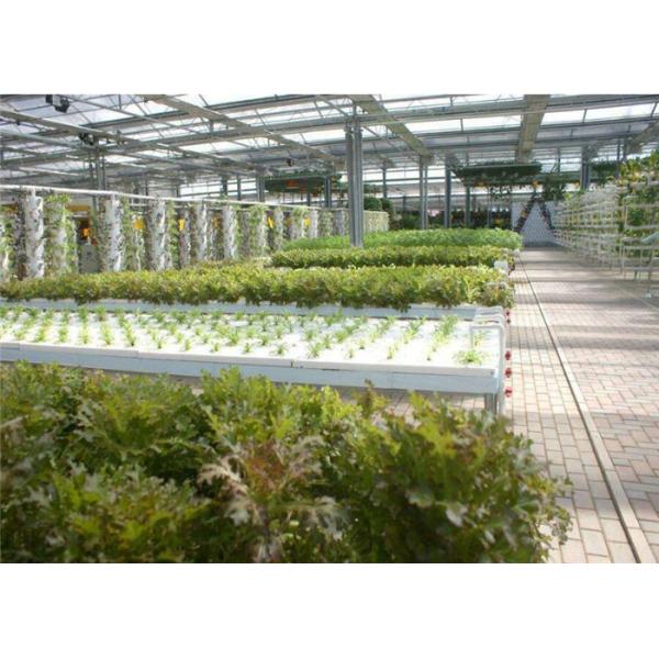 Plastic Film Low Cost Greenhouse , Hydroponic Plastic Greenhouse Accessible To Remove