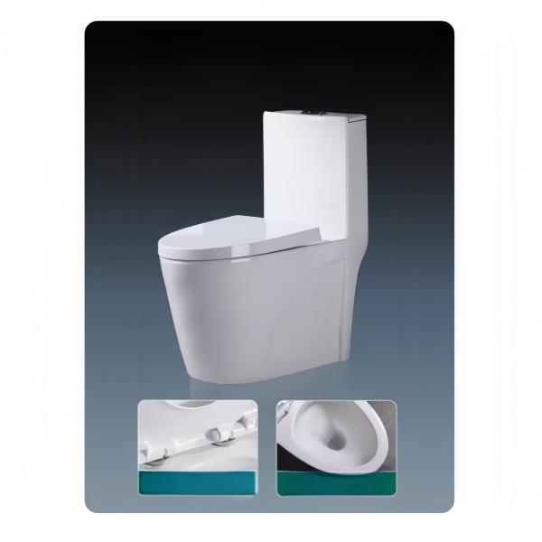 Slowly Seat Cover Dual-Flush Washdown One Piece White Ceramic Toilet with High Durability