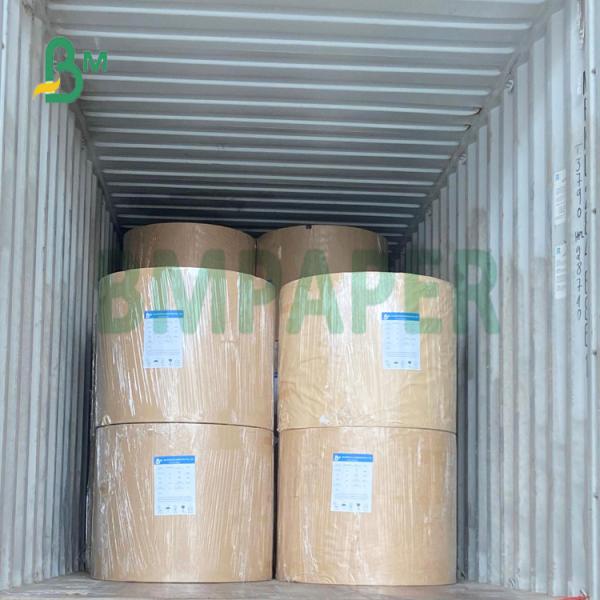 Food Grade Double white One side coated food board for Pizza Box Grado alimenticio Placa de comida con recubrimiento de una sola cara de color blanco doble para cajas de pizza