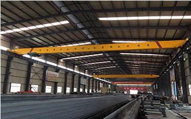 LDP Model Electric Warehouse Single Beam Overhead Crane 5 ton