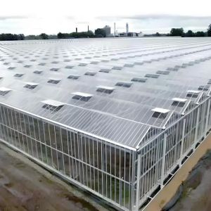 Venlo Greenhouse Structure