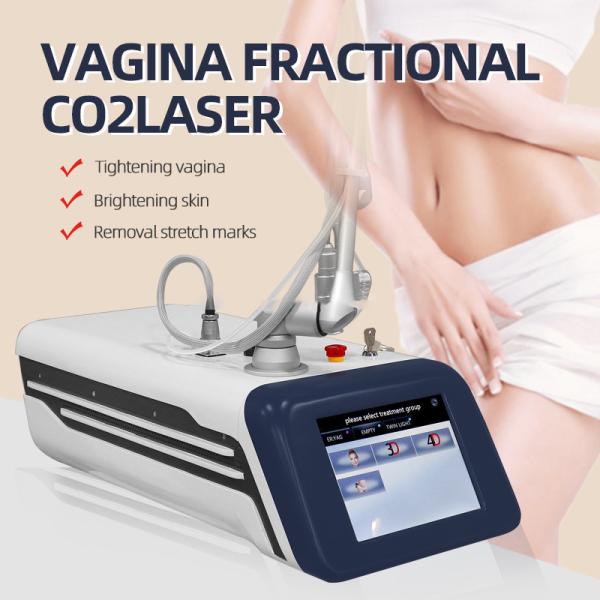 Da máquina fracionária do laser do CO2 da remoção do enrugamento equipamento facial portátil dos termas da beleza 4D
