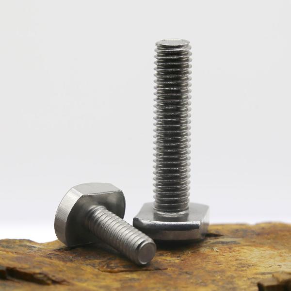 Custom Stainless Steel Screws Manufacturing