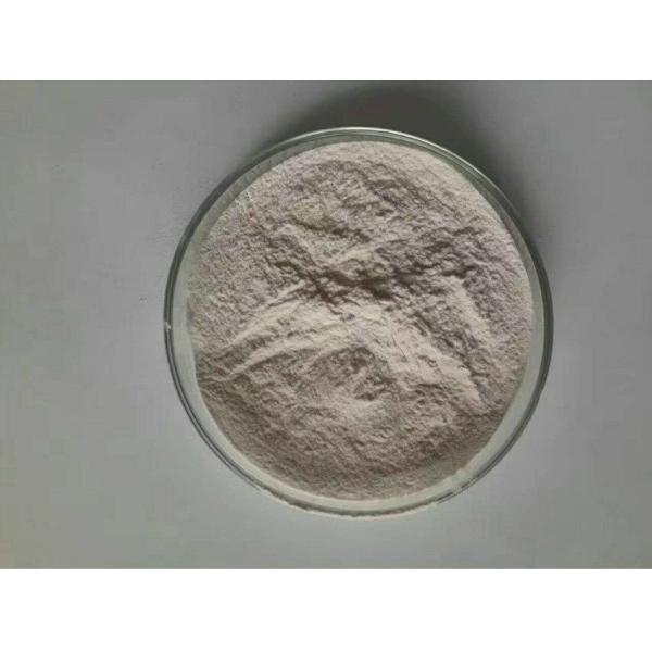 Factory Pure Organic Blueberry P.E. / Pternstilbene20%