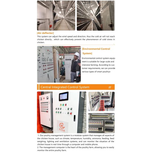 Galvanized Light Steel Frames Broiler Chicken House with Low Maintenance Required and Modular/Panelized Installation Poultry Farming Equipment