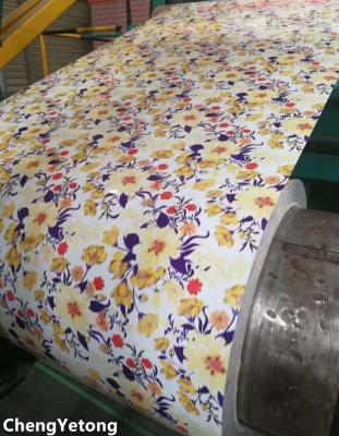 Interior Decoration PPGI Steel Coil PE Coating Pattern Printing Precision 0.2MM