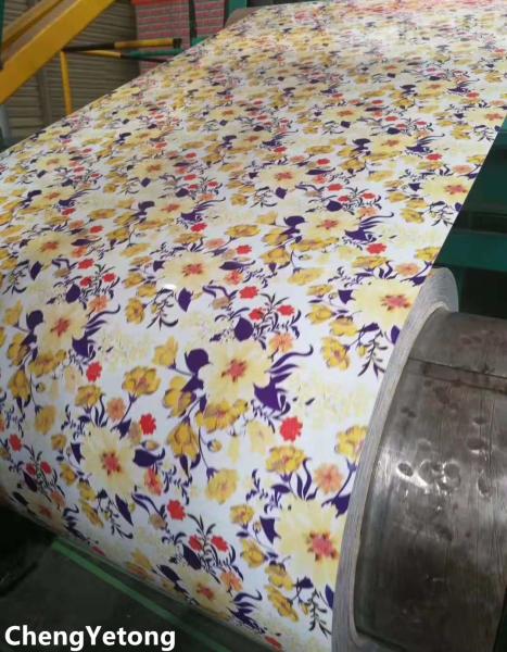 Interior Decoration PPGI Steel Coil PE Coating Pattern Printing Precision 0.2MM