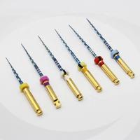 Activation de la chaleur de racine d'Endo Rotary Files Dental Endodontic brodée par 31mm de bleu de Niti