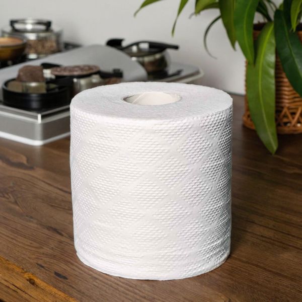 Wholesale Toilet Paper Bamboo Pulp 10 Rolls Per Pack Soft and Comfortable Tissue Toilet Rolls OEM Manufacturer