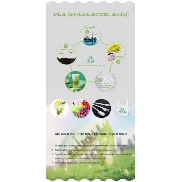 Cold Drink Eco Friendly Biodegradable Compostable Clear PET Disposable PLA Cups Plastic