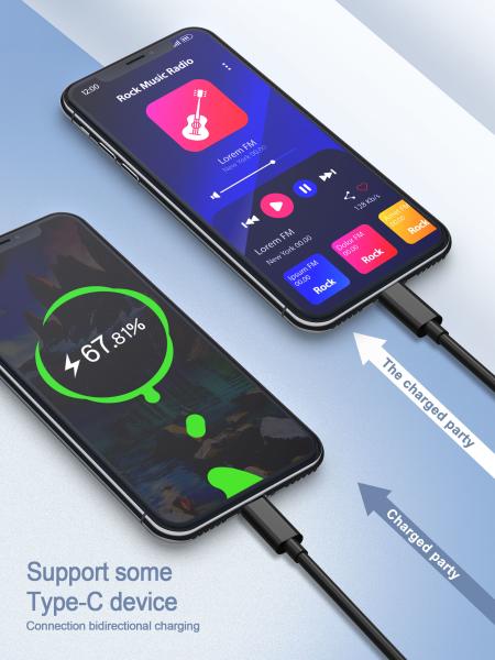 La caméra USB C câble le type type rapide corde de remplissage de palladium de 60W 20V 3A de C de C