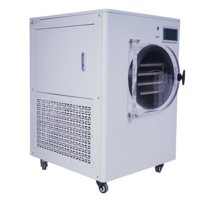 Máquina mais seca multifuncional do gelo do vácuo para o fruto vegetal