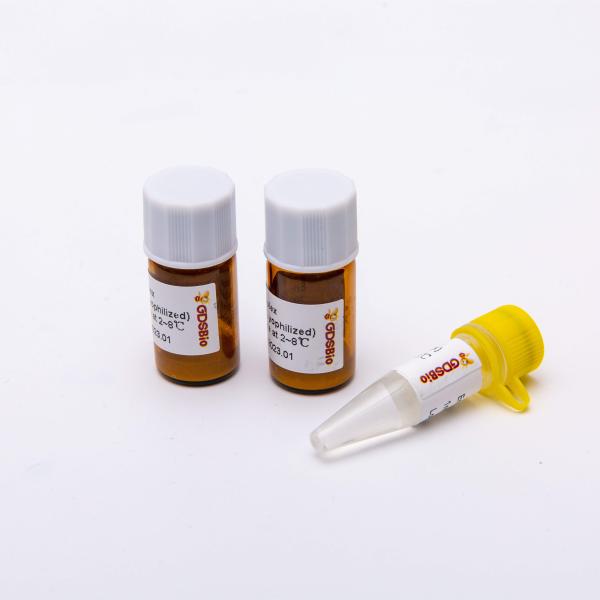 Лиофилизованный одному смешиванию DSPath 4X PCR RT шага мастерскому