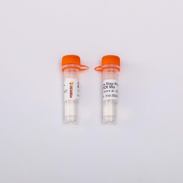 2X Prime One Step RT QPCR Master Mix V5007 25uL/Rxn