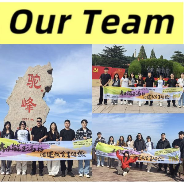 Clear View Galvanized Small Hole Anti Cut 358 Security Fence For Garden