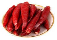 Chilli seco Tianjin vermelho com sabor picante