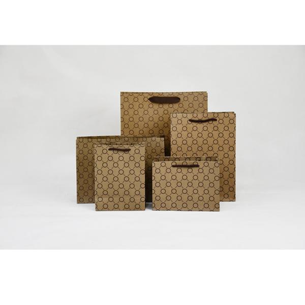 5Kg Weight Capacity Kraft Shopping Paper Bags  Eco Friendly Packaging Recycled