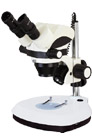 Zoom stereo microscope