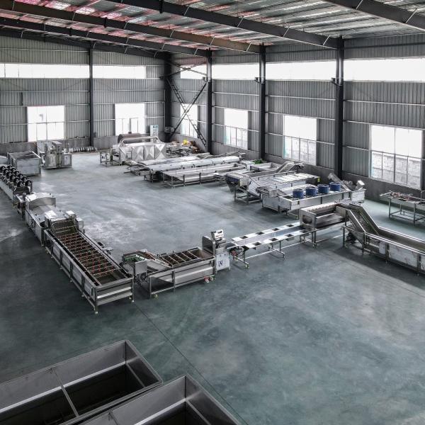 Customized Usage Vegetable and Fruit Cleaning Line for Advanced Streamlined Operations