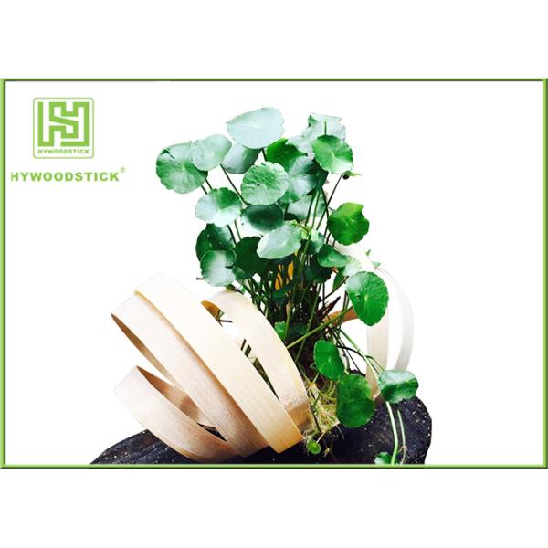 Unique Bamboo Plant Pot Hanging Flower Box , Bamboo Flower Containers Customized Handle