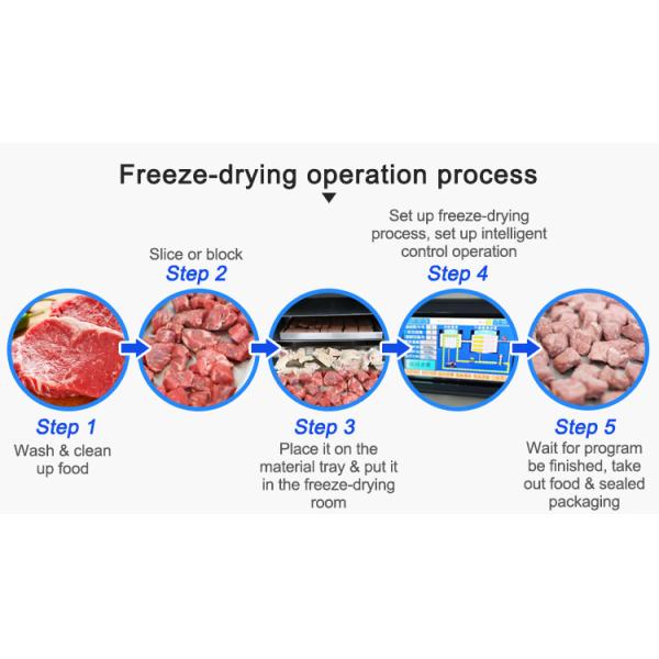 ISO Commercial Freeze Dry Machine For Meat Fruit Vegetable