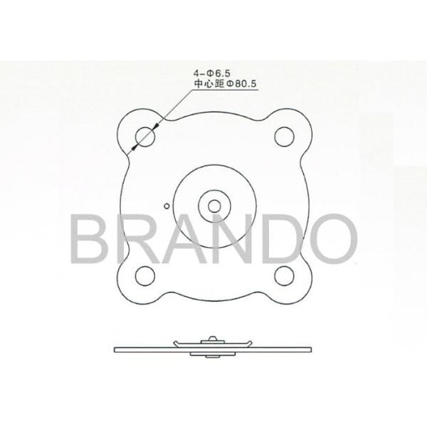 2W250-25 Stainless Steel Viton Diaphragm For 1 Inch Water Solenoid Valve