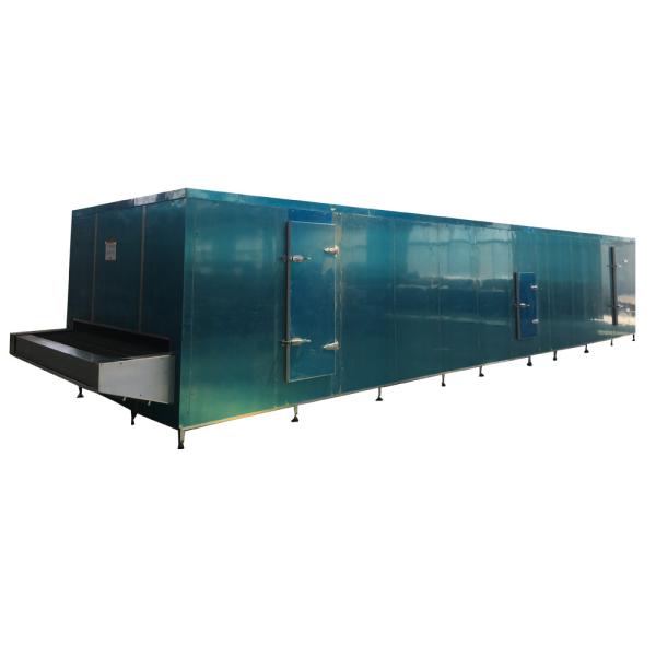 100kg/H SS304 Quick Freezer Vegetables Food Freezing Machine