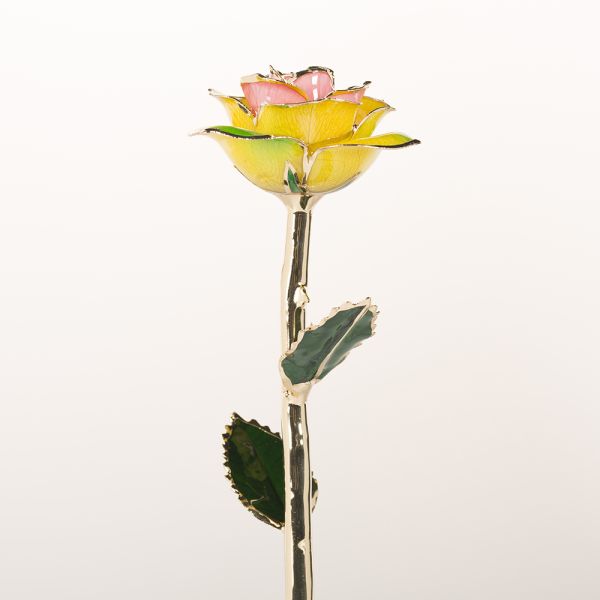 24K Gold Plated Rose Gifts Wholesale Preserved Factory  Gold Rose