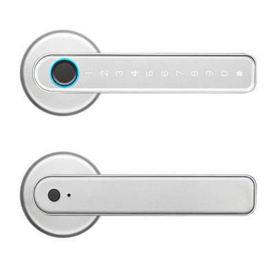Wifi TTlock Smart Handle Door Lock Zinc Alloy For Outside Gate