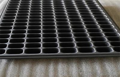 Grande estufa plástica Thermoforming das pilhas das bandejas 105 da germinação