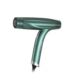 Electric Collapsible Plasma Hair Dryer For Hotel Household Travel