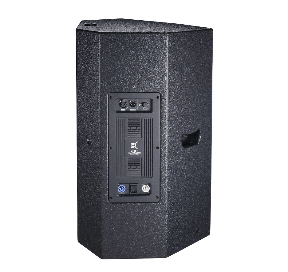 450 Watt RMS PA Nightclub Audio System Cvr Pro Audio Equipment