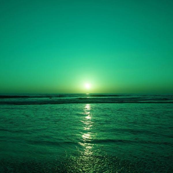 135x158x40mm Colour Therapy Sunglasses Translucent Green Tinted Lenses