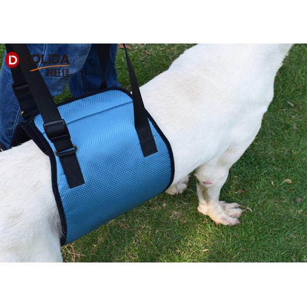 Red / Green Dog Body Harness Lift Help Sling Disabled Pet Support Vest