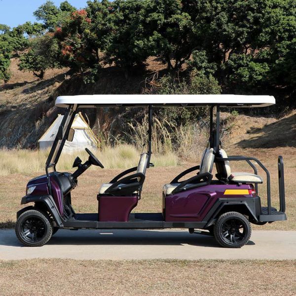 4+2 Person Luxury Electric Golf Cart Featuring Intelligent Onboard Charger