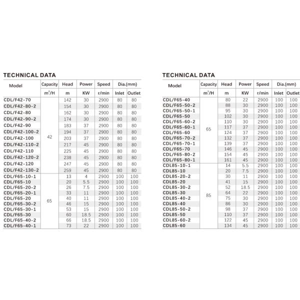CDL, CDLF Series Intelligent frequency conversion booster pump