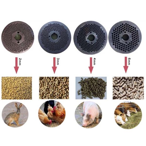 Производственная линия пеллет для кормов для домашних животных Птицеводство Животноводство Кормовые пеллетные заводы с 2 мм 4 мм 6 мм 8 мм