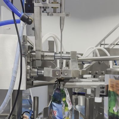 Multifunctional Snack Food Packaging Machine for Popcorn Chips Nuts Candies Premade Bag Packing Line