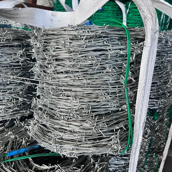 Wholesale Low Cost Electro Galvanised Steel Barbed Wire For Household
