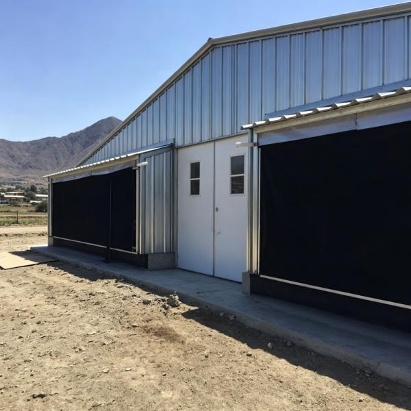 Hot-Dip Galvanized Steel Prefabricated Chicken House with 15-20 Year Service Life and Modular Structure