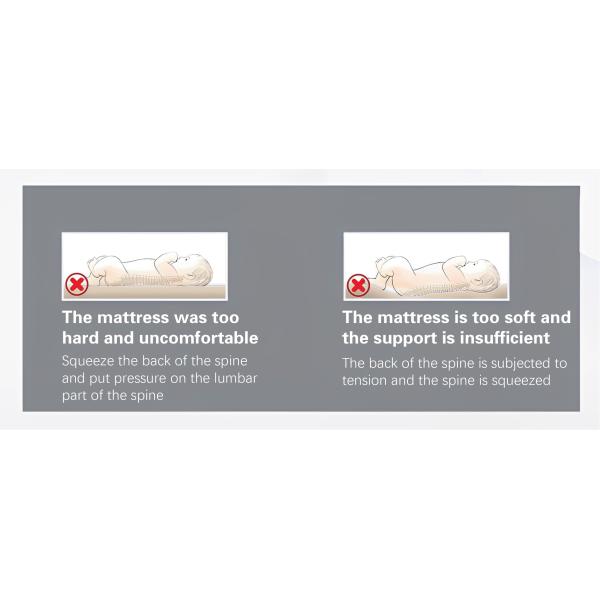 Latex Filling Material Home Decor Sofa Cushion Supports Anti-mite Skin-friendly Fabric