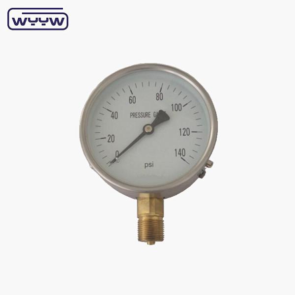Stainless Steel Pressure Gauge Pressure 0 .. 1000 Bar Oil Filling Unavailable