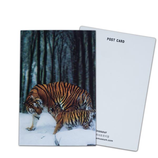 Brown Bear In Alaska Lenticular Card Souvenir Gift Card For Tourist 3d Postcards
