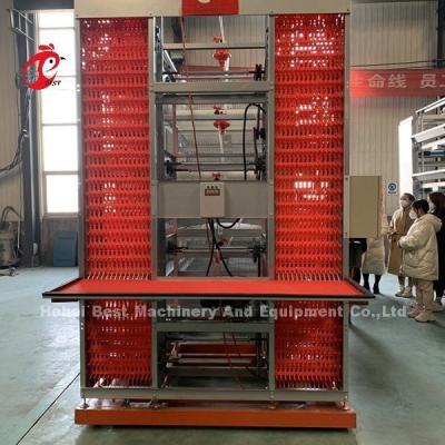 20 Years Lifespan Layer Poultry Farming Automatic Chicken Cage Equipment For 20,000 Layers Adela
