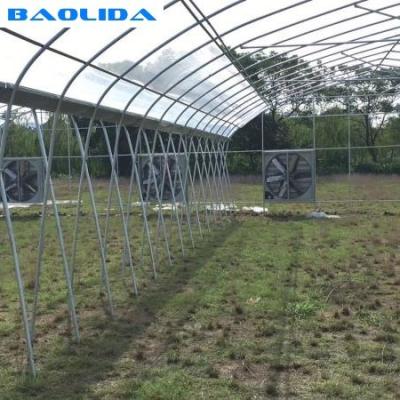 Fácil do ciclo do ar do aumento do sistema de refrigeração da estufa do fã e da almofada instalado