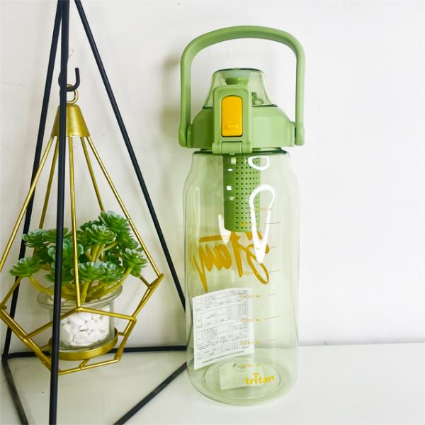 Travel Fruit Infusing Water Bottle 1000ml Tritan Sports Plastic Teabag Infusion Bottle