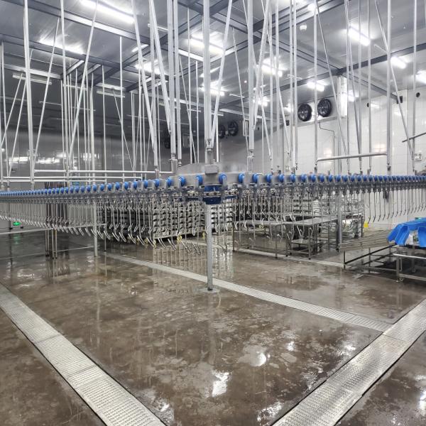 Оборудование сельского хозяйства птицы 300 цыплят/h ошпаривая общипывать зарезать машину