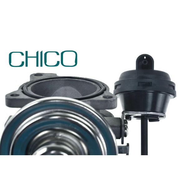 Клапан EGR автомобиля TS16949 для 1100628 7.03703.62.0 VW PASSAT 038131501AQ ФОРДА PIERBURG